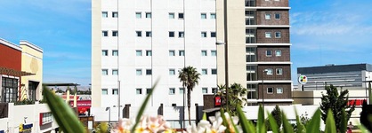 Ibis Chihuahua