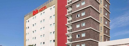 Ibis Chihuahua