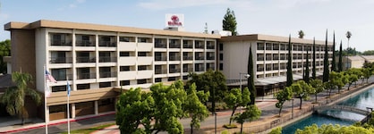Hilton Stockton