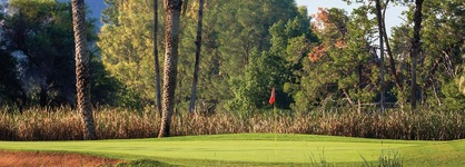 Orange Tree Resort