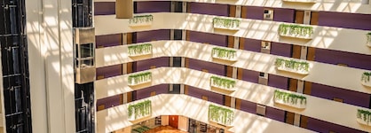 Galería Plaza Veracruz By Brisas