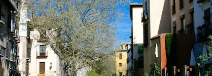 Golondrinas De La Alhambra