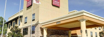 Comfort Suites Spring