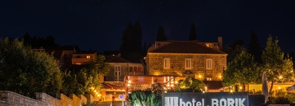 Hotel Borik