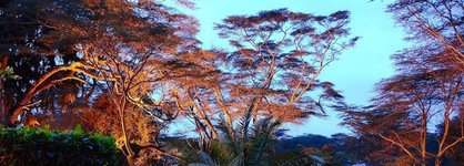 Muthu Lake Naivasha Country Club