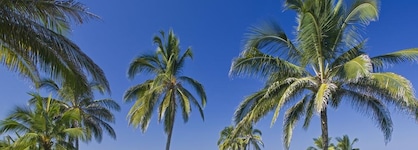 The St. Regis Punta Mita Resort