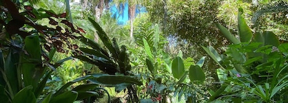 The Falls Resort At Manuel Antonio