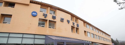 Gyeongju Tourist