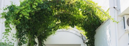 Chandris Apartments