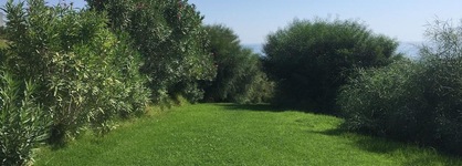 Al Mare Villas