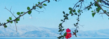 Villa Anna Castello