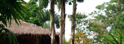 Palm Garden Resort