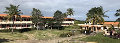 Elguea
