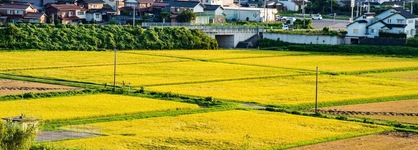Yamashiro Onsen Miyabi No Yado Kaga Hyakumangoku
