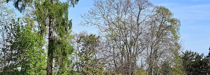 Château De La Rozelle