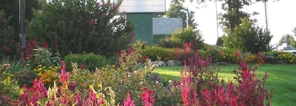 Branson's Best Motel