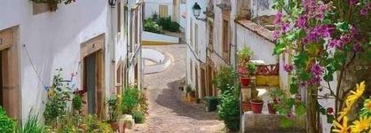 Dom Dinis Marvão