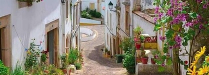 Dom Dinis Marvão