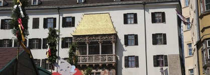 Alpbach Bergwald