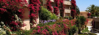 Vila Palmeira