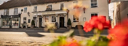 Dog & Bear Hotel
