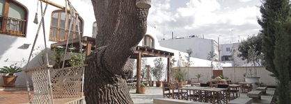 Coliving Add Livitum