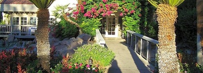 The Oasis Resort