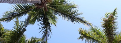 Capt Hiram's Resort