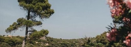 Hotel Le Provençal