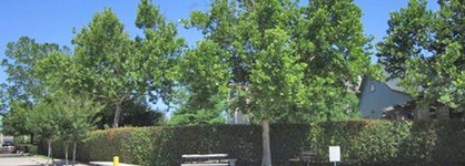 Extended Stay America - Austin - Arboretum - South