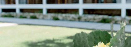 Hillside Boutique Hotel