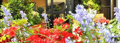 Hotel San Siro Fiera