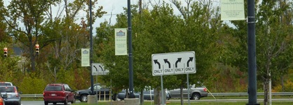 Country Inn & Suites By Radisson, Concord (Kannapolis), Nc