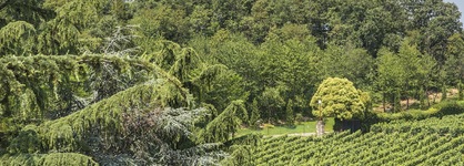 L'albereta, Relais & Chateaux