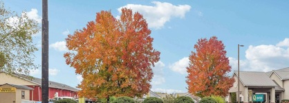 Quality Inn & Suites Dawsonville