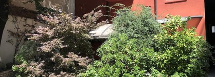 Il Girasole