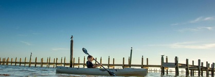 The Caribbean Resort Royal Palm South