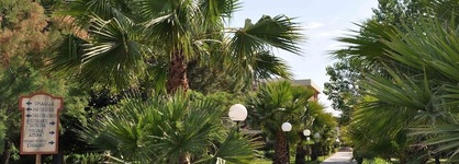 Akiris