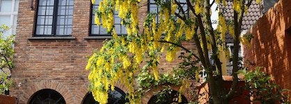 B&B Next Door