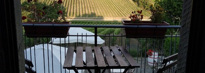 Hotel Le Vigne