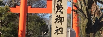 The Screen