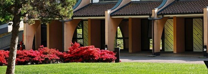 Hotel Pineta
