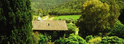 L'andana