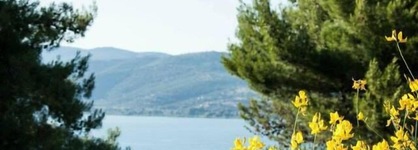 Camping Villaggio Cerquestra