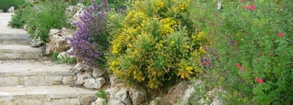 Agriturismo Terra Dei Sassi