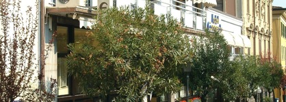 Hotel Ristorante Commercio