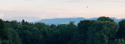 Alpin & Wellness Resort Hotel Ludwig Royal