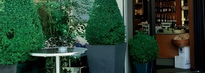 Citta Trüffel Hotel