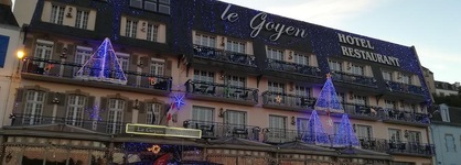 Le Goyen
