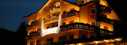 Alp & Wellnes Sport Hotel Panorama